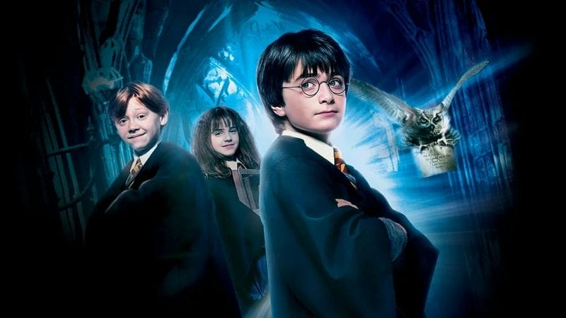 Harry Potter and the Sorcerer's Stone (1) - Vj Junior